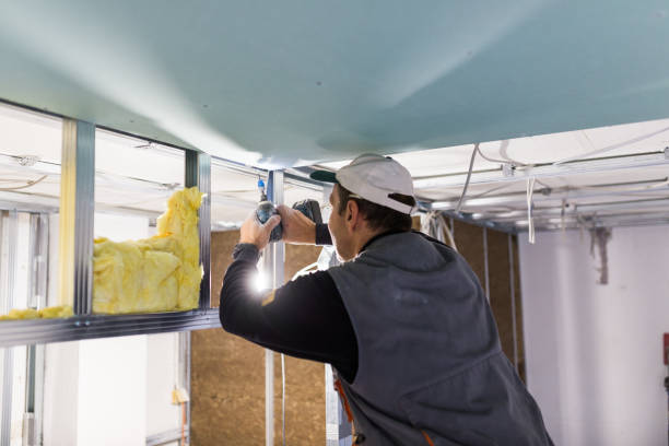 Best Commercial Insulation in Elba, AL