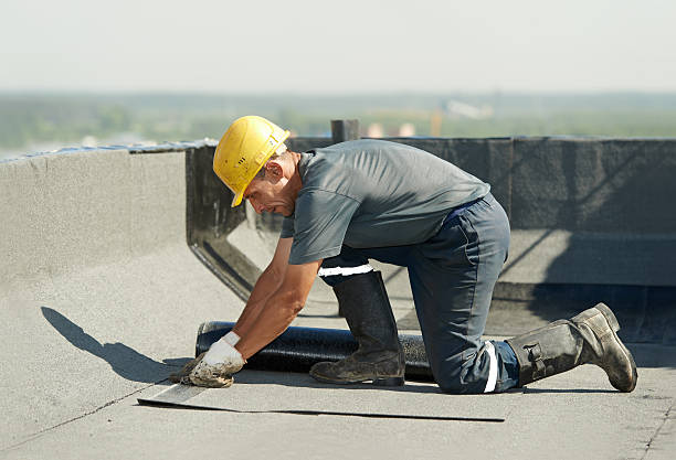Best Spray Foam Insulation in Elba, AL