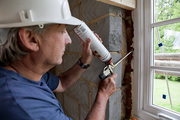 Best Geographic-Specific Insulation Services in Elba, AL