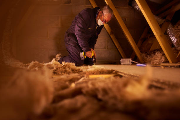 Professional Insulation Contractor in Elba, AL